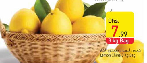 ALOKOZAY Tea Bags  in Safeer Hyper Markets in UAE - Fujairah