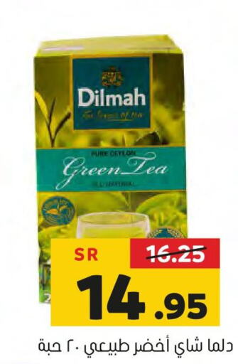 DILMAH Green Tea  in Al Amer Market in KSA, Saudi Arabia, Saudi - Al Hasa