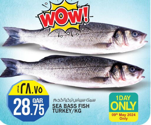  King Fish  in كنز ميني مارت in قطر - الوكرة