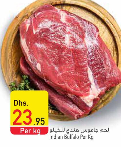  Buffalo  in Safeer Hyper Markets in UAE - Umm al Quwain