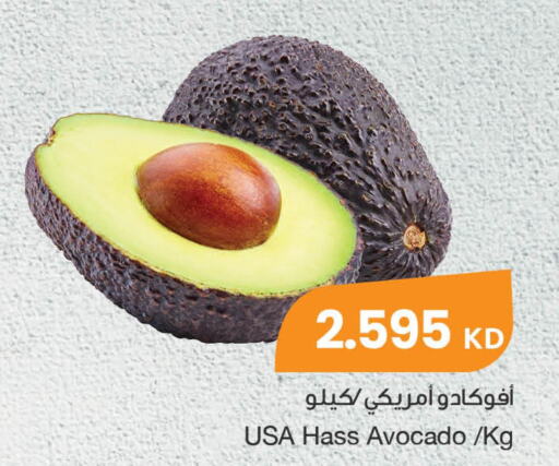  Avacado  in The Sultan Center in Kuwait - Ahmadi Governorate