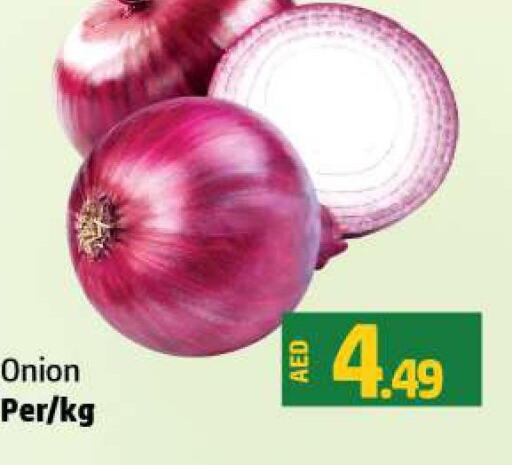  Onion  in الحوت  in الإمارات العربية المتحدة , الامارات - رَأْس ٱلْخَيْمَة