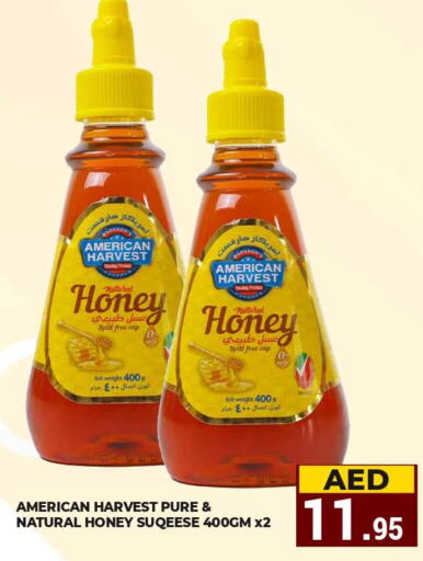 AMERICAN HARVEST Honey  in كيرالا هايبرماركت in الإمارات العربية المتحدة , الامارات - رَأْس ٱلْخَيْمَة