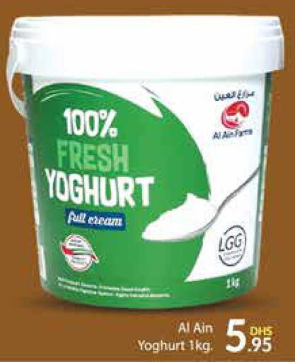 AL AIN Yoghurt  in أزهر المدينة هايبرماركت in الإمارات العربية المتحدة , الامارات - دبي