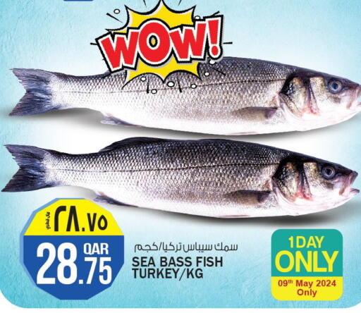  King Fish  in Saudia Hypermarket in Qatar - Doha