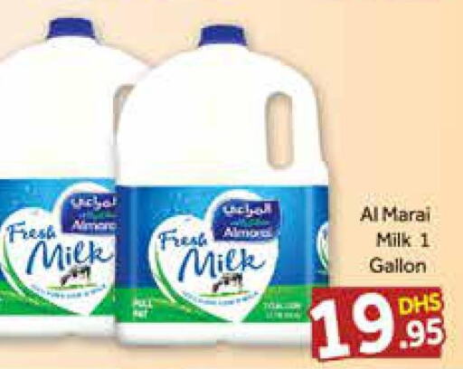 ALMARAI Fresh Milk  in Azhar Al Madina Hypermarket in UAE - Dubai