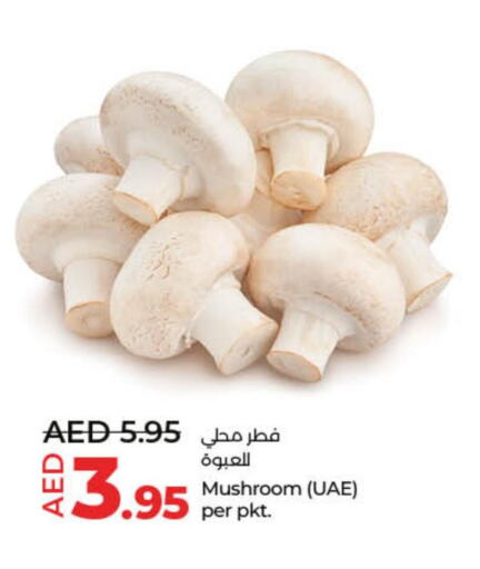  Mushroom  in Lulu Hypermarket in UAE - Sharjah / Ajman