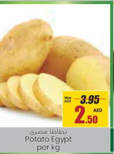  Potato  in جمعية القوات المسلحة التعاونية (أفكوب) in الإمارات العربية المتحدة , الامارات - أبو ظبي