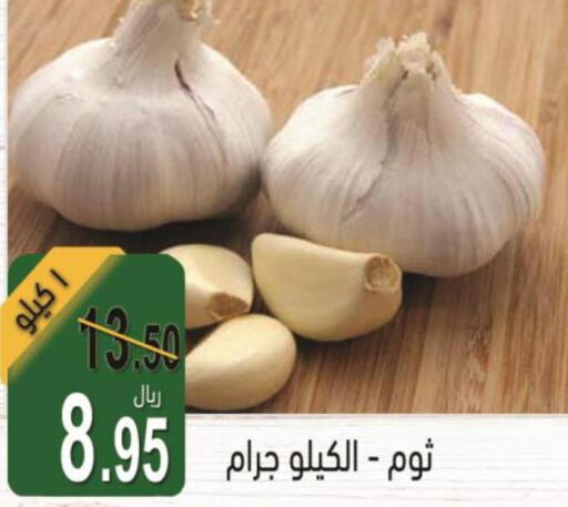  Garlic  in أسواق بن ناجي in مملكة العربية السعودية, السعودية, سعودية - خميس مشيط