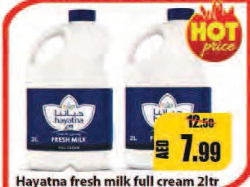 HAYATNA Full Cream Milk  in ليبتس هايبرماركت in الإمارات العربية المتحدة , الامارات - رَأْس ٱلْخَيْمَة