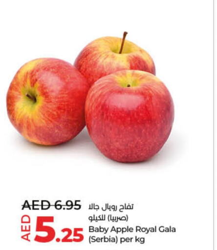  Apples  in لولو هايبرماركت in الإمارات العربية المتحدة , الامارات - أم القيوين‎