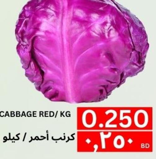  Cabbage  in النور إكسبرس مارت & اسواق النور  in البحرين