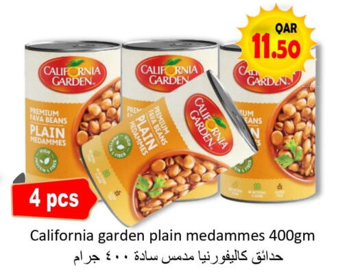 CALIFORNIA GARDEN Fava Beans  in مجموعة ريجنسي in قطر - الريان