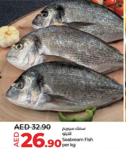  King Fish  in Lulu Hypermarket in UAE - Sharjah / Ajman