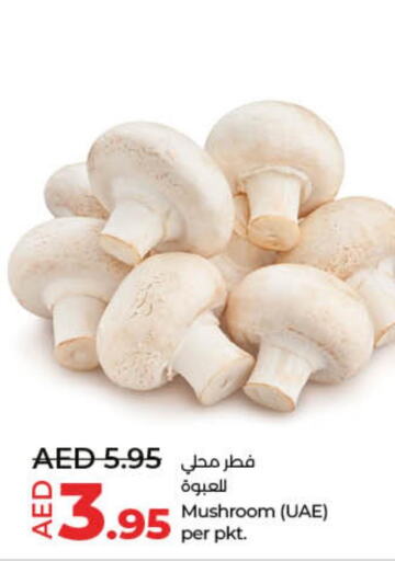  Mushroom  in لولو هايبرماركت in الإمارات العربية المتحدة , الامارات - رَأْس ٱلْخَيْمَة
