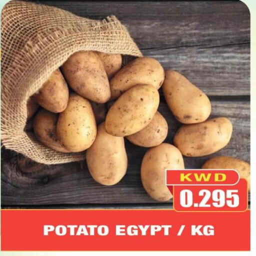  Potato  in Olive Hyper Market in Kuwait