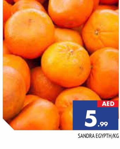  Jack fruit  in المدينة in الإمارات العربية المتحدة , الامارات - دبي