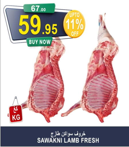  Mutton / Lamb  in Khair beladi market in KSA, Saudi Arabia, Saudi - Yanbu