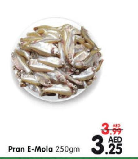  King Fish  in هايبر ماركت المدينة in الإمارات العربية المتحدة , الامارات - أبو ظبي