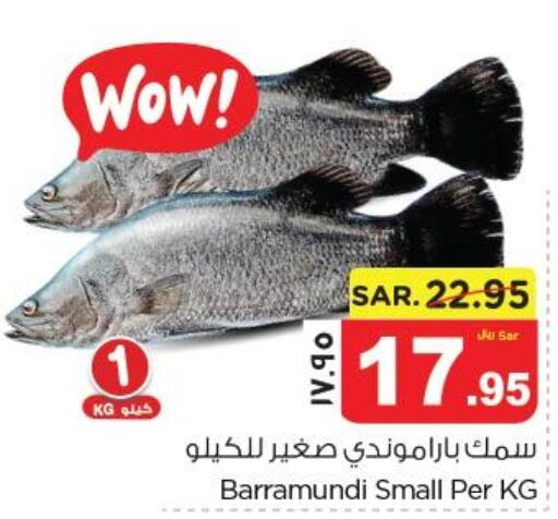  King Fish  in نستو in مملكة العربية السعودية, السعودية, سعودية - الجبيل‎