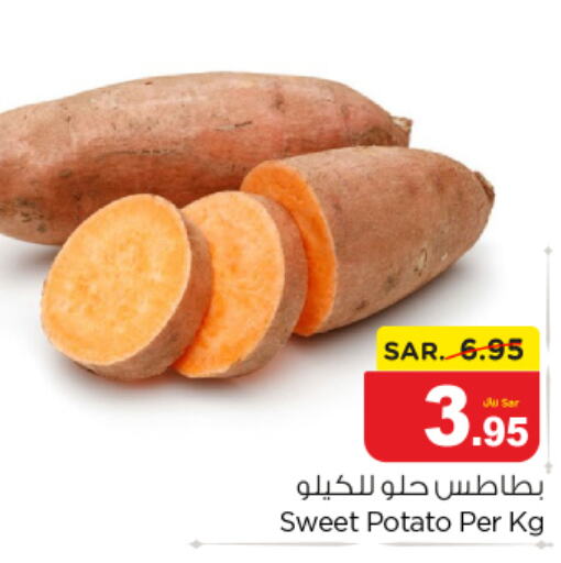  Sweet Potato  in نستو in مملكة العربية السعودية, السعودية, سعودية - المجمعة