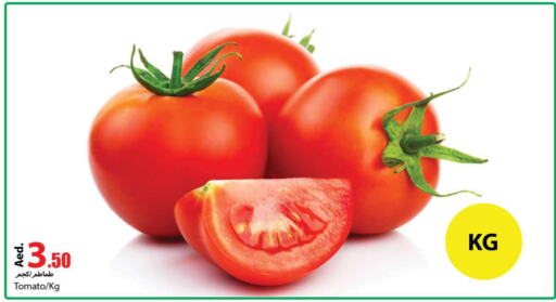  Tomato  in  روابي ماركت عجمان in الإمارات العربية المتحدة , الامارات - الشارقة / عجمان