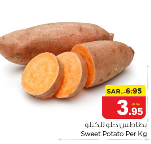  Sweet Potato  in نستو in مملكة العربية السعودية, السعودية, سعودية - الرياض
