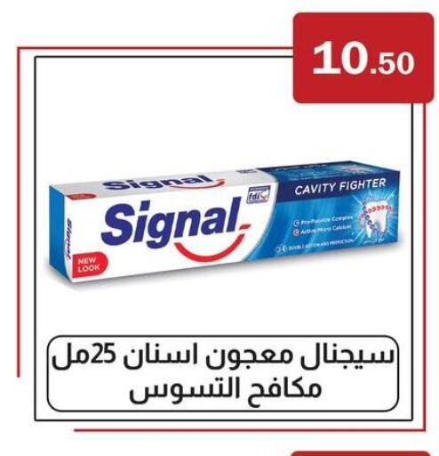 SIGNAL Toothpaste  in ABA market in Egypt - Cairo