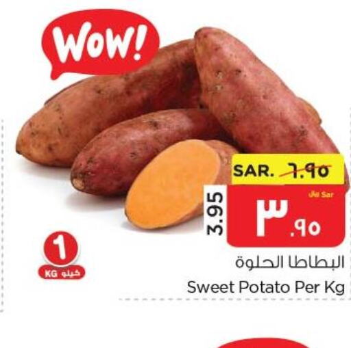  Sweet Potato  in نستو in مملكة العربية السعودية, السعودية, سعودية - الأحساء‎