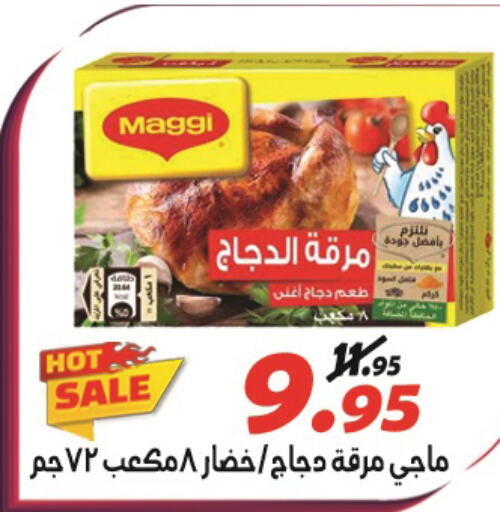 MAGGI Spices / Masala  in الفرجاني هايبر ماركت in Egypt - القاهرة