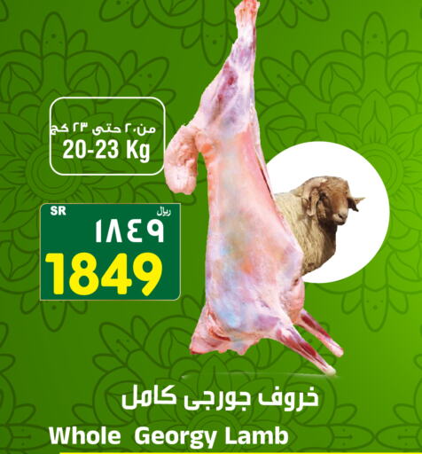  Mutton / Lamb  in المدينة هايبرماركت in مملكة العربية السعودية, السعودية, سعودية - الرياض
