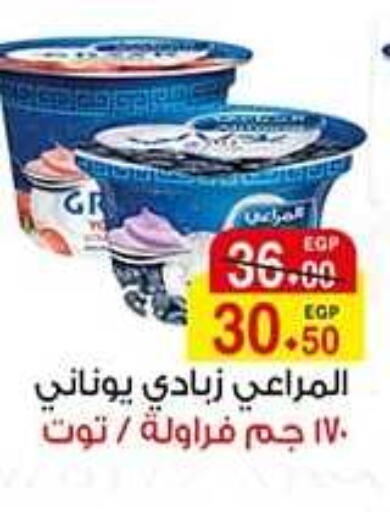 ALMARAI Yoghurt  in A Market in Egypt - Cairo