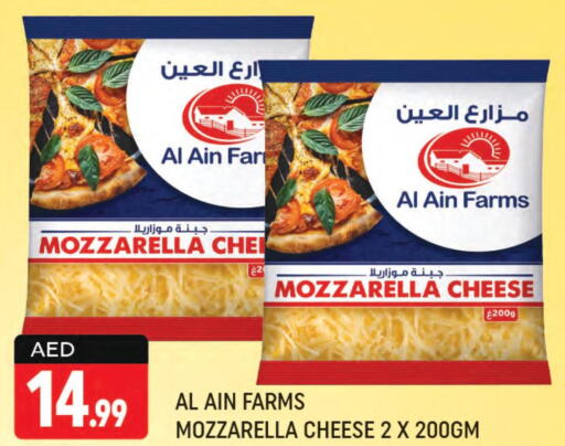 AL AIN Mozzarella  in شكلان ماركت in الإمارات العربية المتحدة , الامارات - دبي