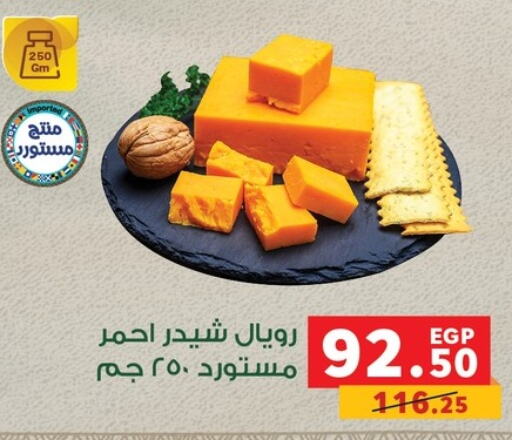  Cheddar Cheese  in Panda  in Egypt - Cairo
