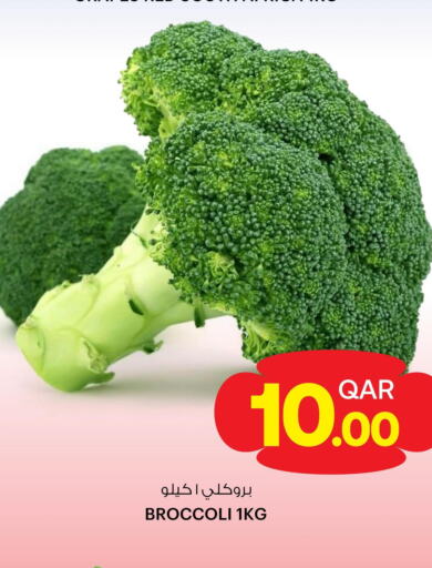  Broccoli  in أنصار جاليري in قطر - الريان