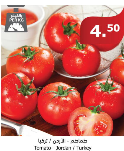  Tomato  in الراية in مملكة العربية السعودية, السعودية, سعودية - جازان