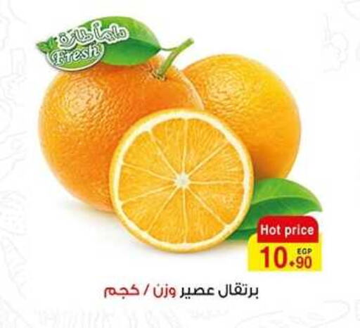  Orange  in A Market in Egypt - Cairo