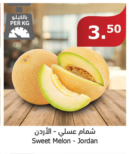  Sweet melon  in Al Raya in KSA, Saudi Arabia, Saudi - Bishah