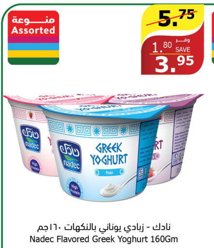 NADEC Greek Yoghurt  in Al Raya in KSA, Saudi Arabia, Saudi - Jazan