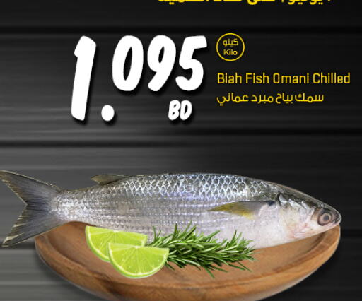  King Fish  in مركز سلطان in البحرين