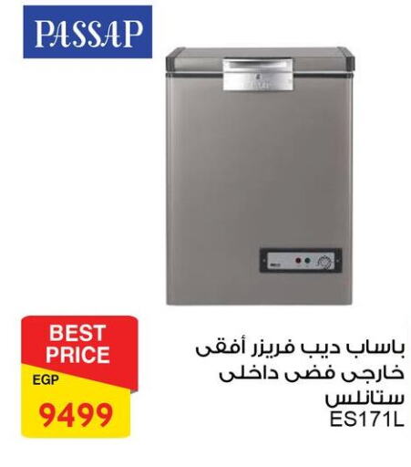 PASSAP Freezer  in Fathalla Market  in Egypt - Cairo