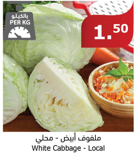  Cabbage  in الراية in مملكة العربية السعودية, السعودية, سعودية - جازان