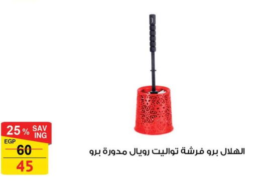  Cleaning Aid  in فتح الله in Egypt - القاهرة