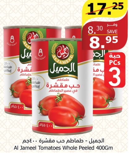  Tomato Paste  in Al Raya in KSA, Saudi Arabia, Saudi - Yanbu