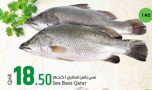CENTURY Tuna - Canned  in Rawabi Hypermarkets in Qatar - Doha