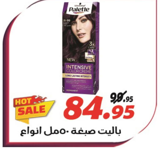 PALETTE Hair Colour  in الفرجاني هايبر ماركت in Egypt - القاهرة