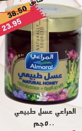 ALMARAI Honey  in  أسواق زاد البلد in مملكة العربية السعودية, السعودية, سعودية - ينبع