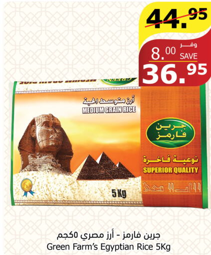  Egyptian / Calrose Rice  in Al Raya in KSA, Saudi Arabia, Saudi - Abha