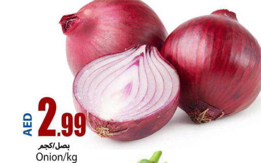  Onion  in  روابي ماركت عجمان in الإمارات العربية المتحدة , الامارات - الشارقة / عجمان