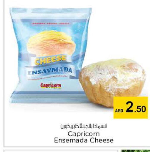 PRESIDENT Slice Cheese  in نستو هايبرماركت in الإمارات العربية المتحدة , الامارات - ٱلْعَيْن‎